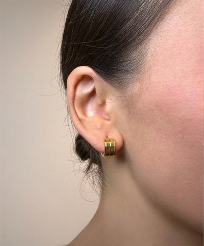 Graceful Arc Earrings