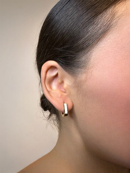 Crescent Radiance Earrings