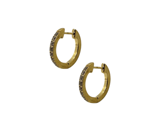 Luxe Aura Hoop Earrings